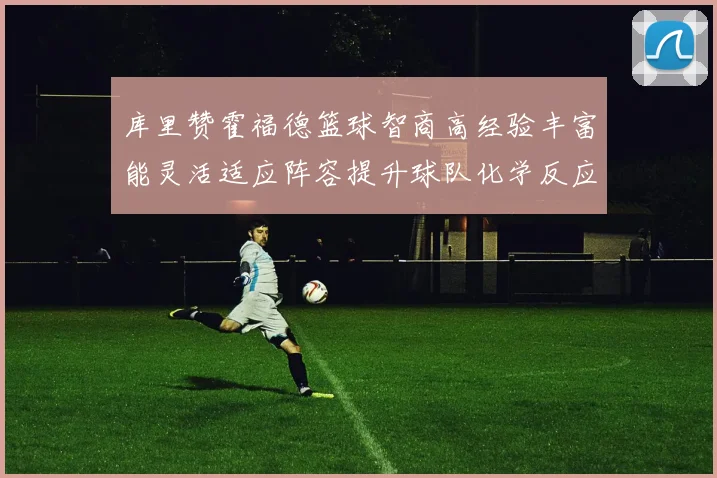 库里赞霍福德篮球智商高经验丰富能灵活适应阵容提升球队化学反应