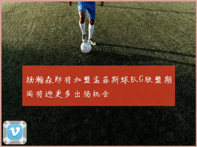 杨瀚森即将加盟孟菲斯球队G联盟期间将迎更多出场机会