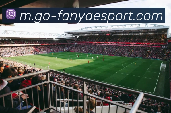 泛亚电竞品牌故事