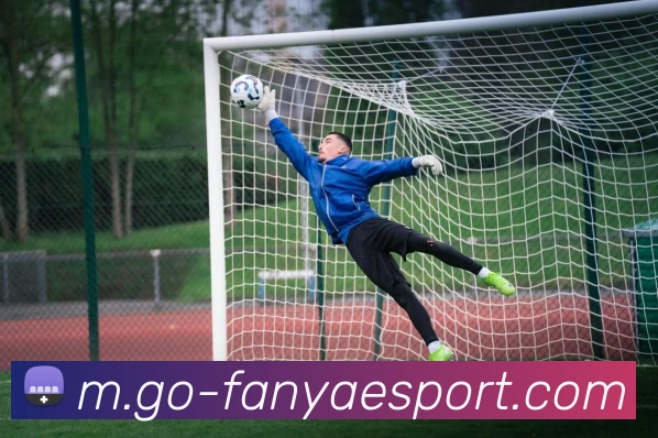 泛亚电竞服务体系